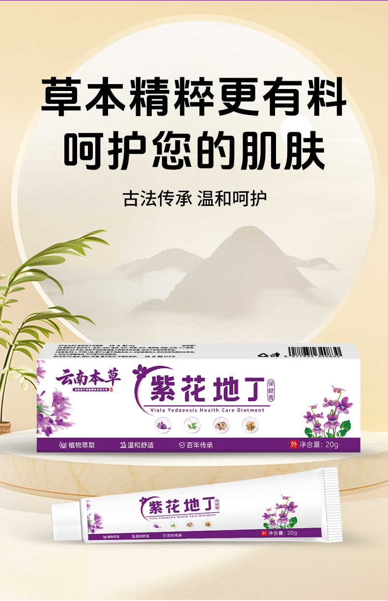 云南本草紫花地丁膏皮肤草本外用身体涂抹全身通用止痒膏紫花地丁