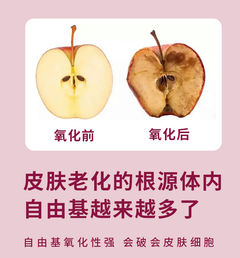 巴西莓粉天然果蔬膳食纤维花青素粉固体饮料冻干粉贴牌定制代加工
