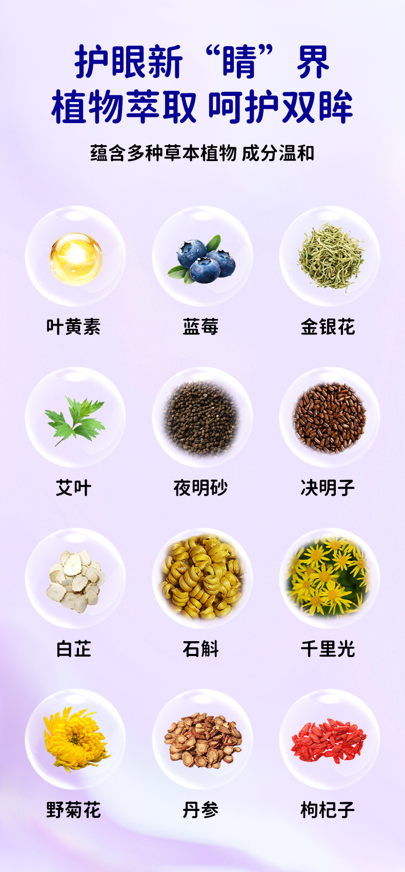 维达熊蓝莓叶黄素眼贴 批发艾草眼贴学生家用眼疲劳冷敷眼膜代发