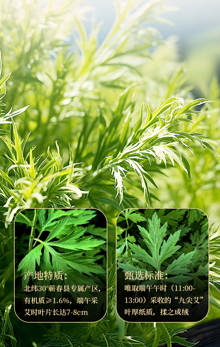 知时顺时艾草艾灸艾条艾柱礼盒陶瓷紫砂小灸罐微烟灸桶小悬灸盘灸