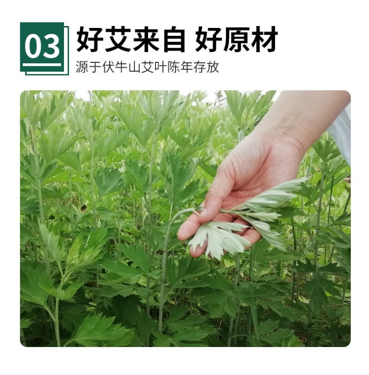 碳化艾条美容院悬灸艾灸艾草条艾绒无家用艾灸柱微烟黑色艾柱