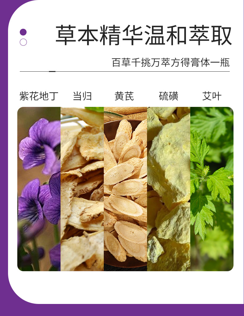 同仁堂紫花地丁膏皮肤外用草本涂抹乳膏紫草膏全家通用止痒紫金膏