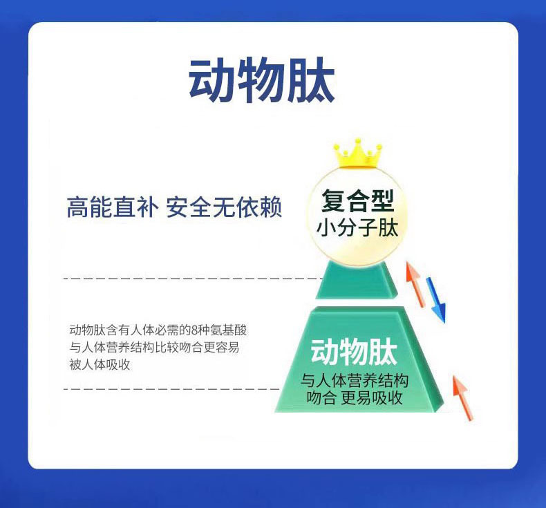 复合小分子胶原蛋白肽粉活性肽动物多肽羊心肽骨胶原蛋白肽高活性