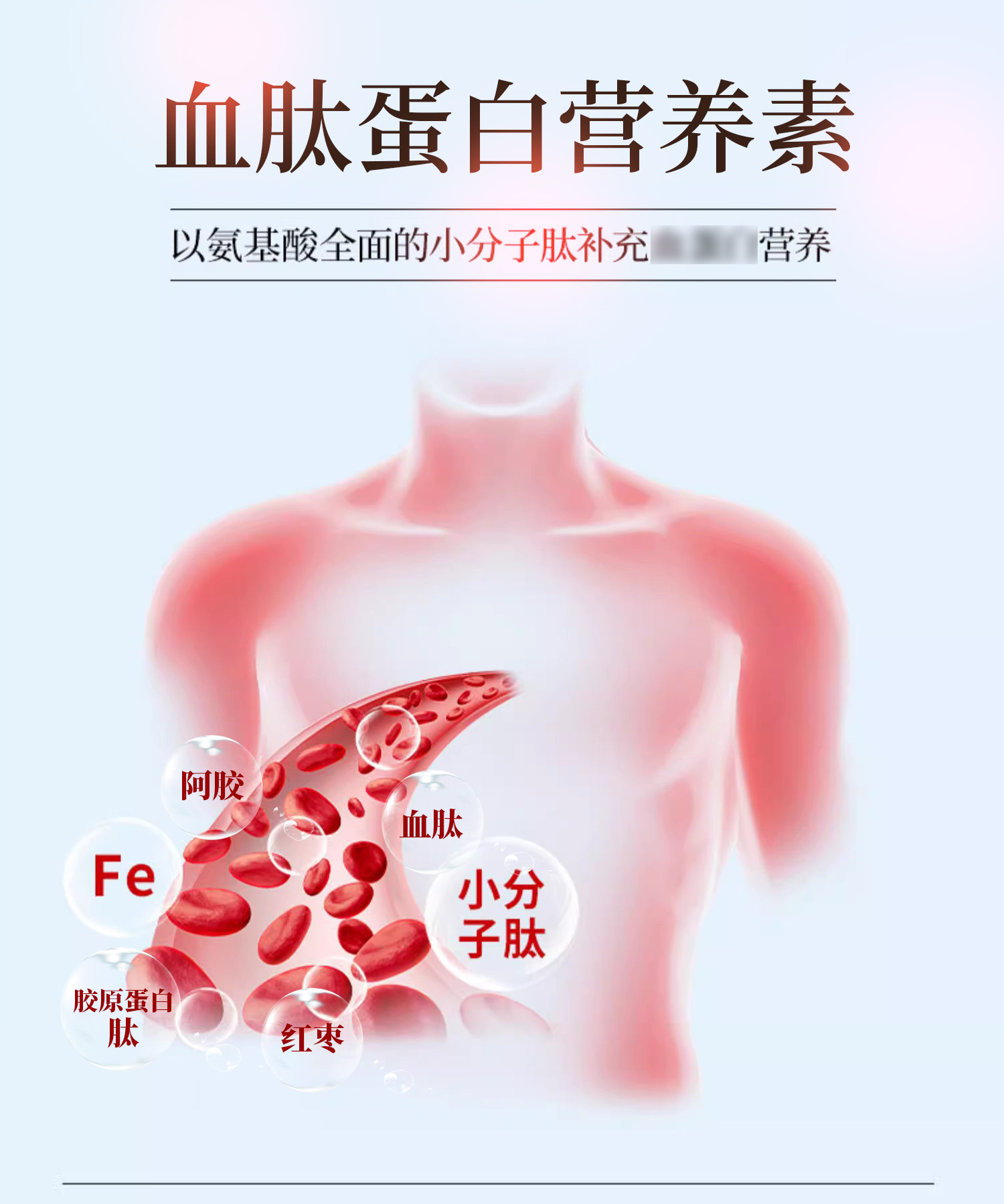 血蛋白肽人参饮品血肽蛋白营养素红枣阿胶胶原蛋白肽口服液贴牌