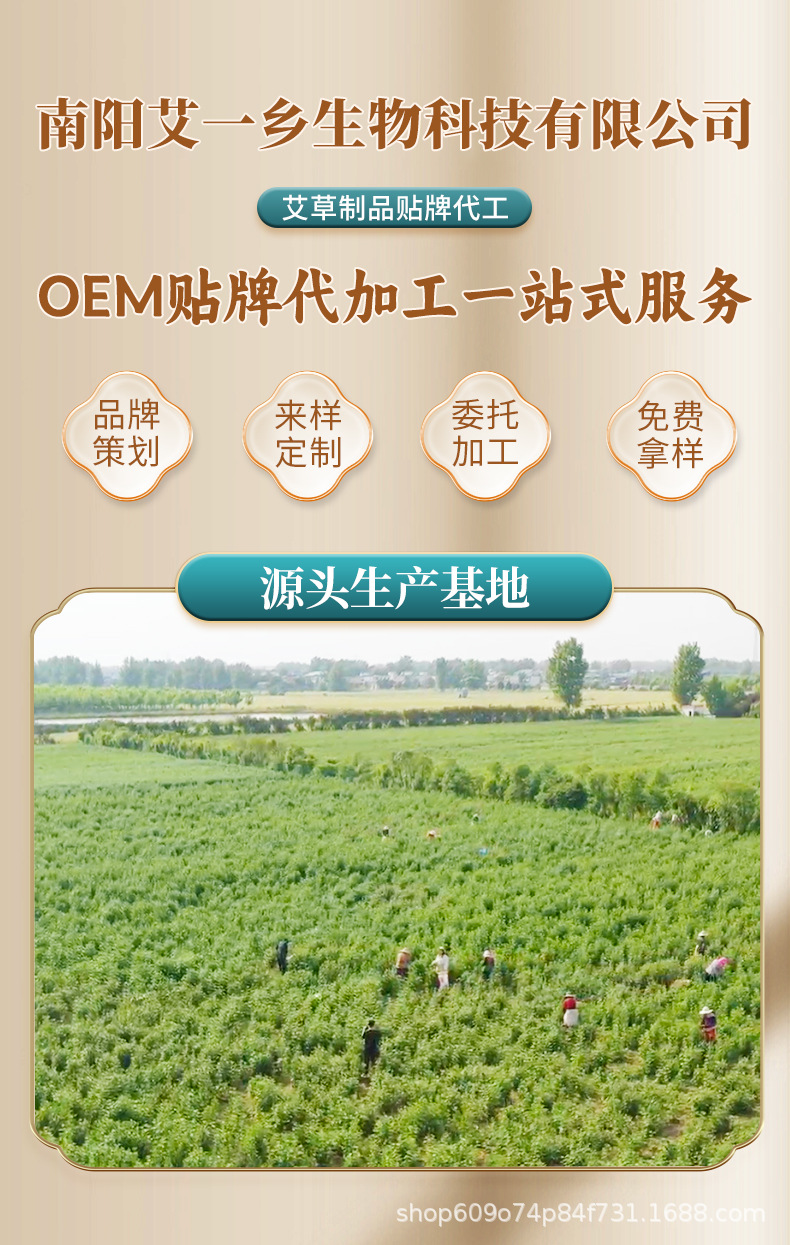 雷火灸大炮灸批发加粗特大悬灸艾灸棒理疗灸馆专用五年陈艾艾灸条
