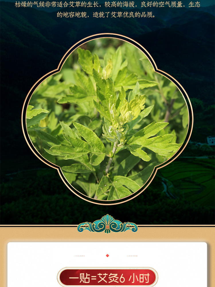 除湿贴艾立方艾灸贴艾草暖宝宝暖贴颈肩腰腿贴自发驱寒防寒