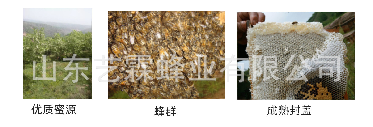 结婚小罐50g喜蜜新婚钻石礼盒伴娘伴手礼蜂蜜百花蜜喜糖喜礼优选