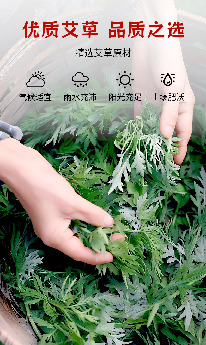 扁鹊世医艾草颈椎贴关节腰椎颈椎膝盖筋骨保健贴肩周透骨贴批发
