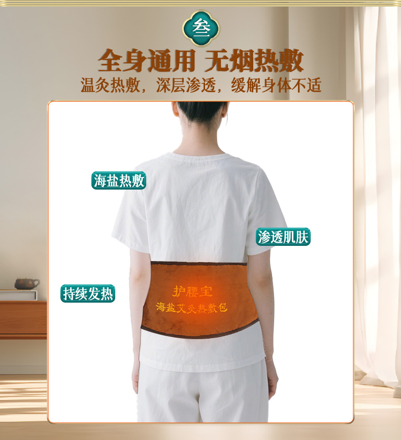 电加热艾灸宝护腰宝艾灸温灸宝热敷包护腰暖肚艾灸电热腰腹艾灸包