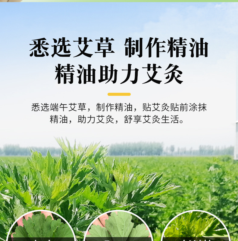 艾艾灸发热贴 精油热敷暖贴身体多部位用厂家批发 发热艾灸贴艾贴