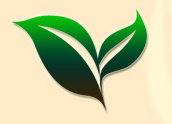 安徽匯宇藥業(yè)有限公司