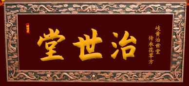 安徽省治世堂药业有限公司